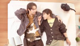 Кот за наличные трейлер